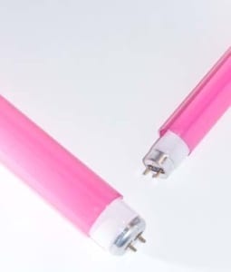 pink fluorescent tube guard