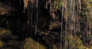 Mossy Falls Scenic Panels Replacement Light Covers