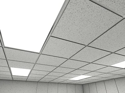 CeilingTiles 3D 1 0001.jpgb29e52e3 f832 4a26 a786 9f47a3f5e099Large